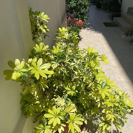 Vendégház Gergana Kiten