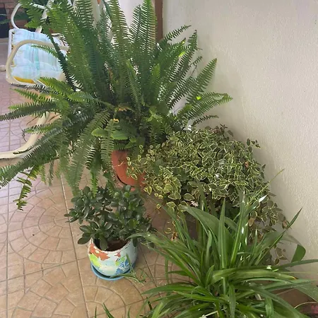 Gergana Vendégház 4*