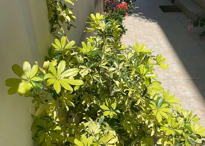 Gasthof Gergana Kiten (Burgas)